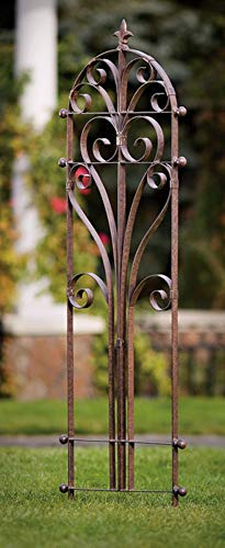 Scroll Garden Trellis 58" H, Freestanding Heavy Duty Iron 24 lbs - view 2