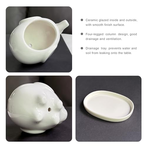 White Elephant Succulent Planter, 4 Inch Ceramic Plant Pot with Drainage Hole & Tray, Small Animal Flower Pot for Indoor Tabletop Decor, Plant Lover Gift for Home Office - view 2