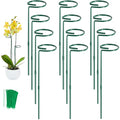 24 in Plant Stakes, 12 Pack Garden Plant Support Stakes(12" or 24")