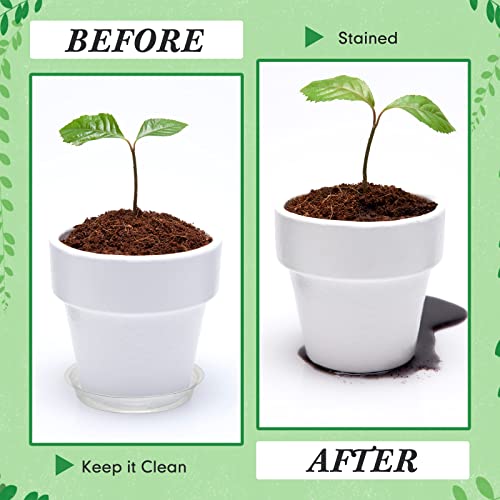 50 Pack 4/6/8/10/12 Inch Plant Saucer Clear Plastic Plant Trays - view 5