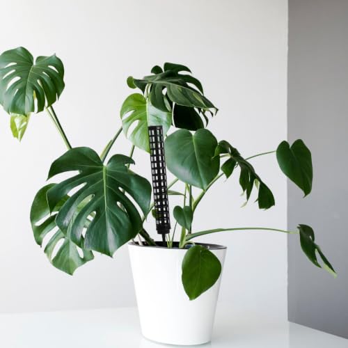 2pcs Moss Pole Monstera Trellis, Black Plastic Plant Support Stake - view 5