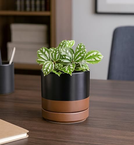 4.7 Inch Ceramic Planter Pot, Black/Tan, 94-O-B-7 - view 5