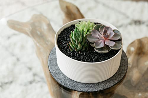 MA-600 Fabric Plant Mat (6" Diameter, Walnut Brown, 5-Pack) - Round Fabric Plant Coasters - Use as Planter, Coaster or Pads for Your Arts & Crafts - view 5
