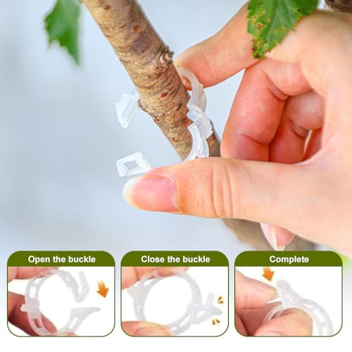 150 PCS Secured Plastic Plant Clip, Plant Support Clips, Garden Clips for Climbing Plants, Plastic Trellis Clips Plant Support Clips Tomato Grape Vine Vegetables Plant Fixing Clips (150, Green) - view 4