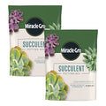 Succulent Potting Mix, 4 qt. (2-Pack)