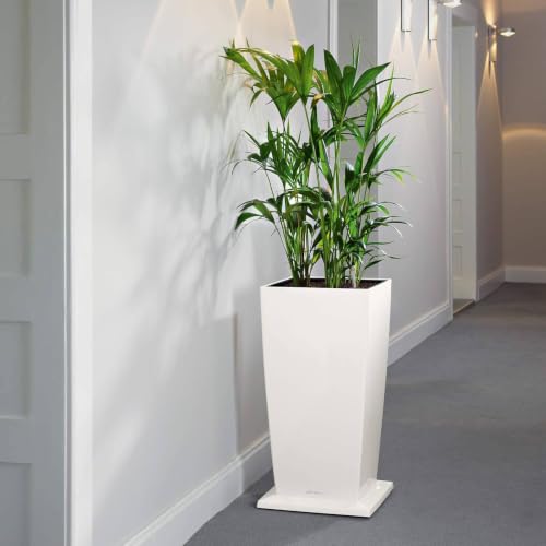 Coaster for CUBICO 30 Planters, White - view 6