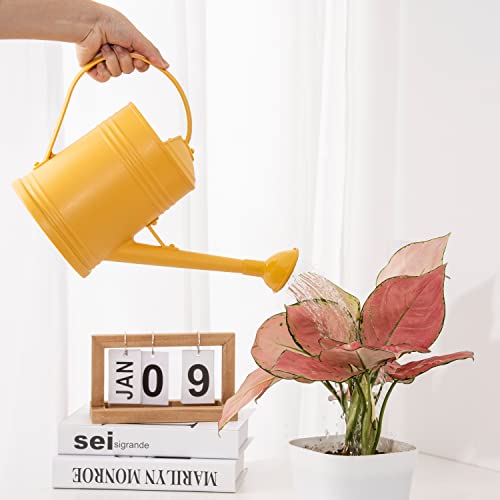 Plastic Indoor Watering Can with Detachable Sprinkler Head - 68oz (1/2 Gallon) for House Plants and Flowers - view 4