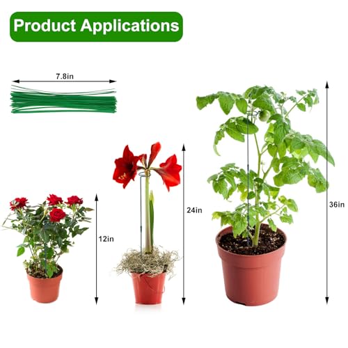 2 Pack (DIY) Plant Support Stakes, Three Sizes (12 or 24 or 36 inch) Plant Support Rings with 20 Pcs Plant Twist Ties, Garden Stake for Indoor Outdoor Plant Flowers, Amaryllis,Tomatoes - view 4