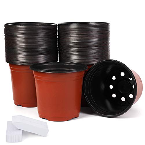100-Pack 6 Inch Plastic Nursery Pots Come with 100 Pcs Labels, Seedling Flower Plant Container and Seed Starting Pots