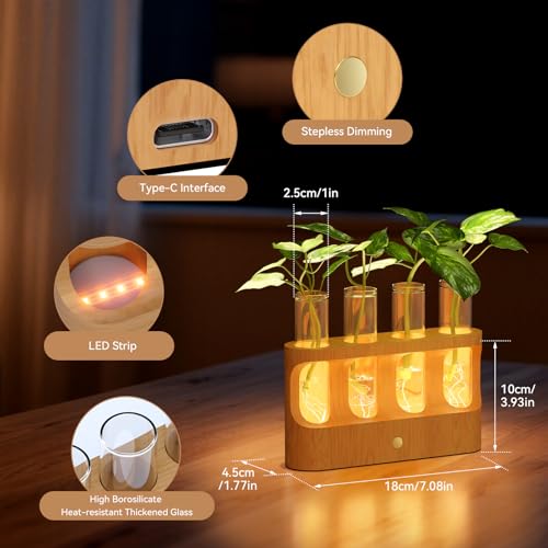 Rechargeable Plant Propagation Station, LED Hydroponic Terrarium - view 3