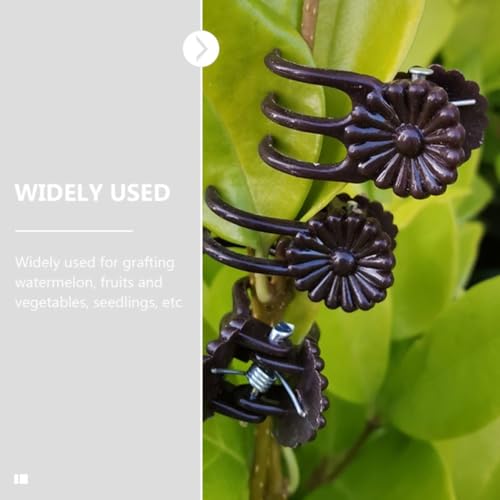 100pcs Plant Fixing Clips 2x1.5x1cm Plastic Spring Support for Orchids - view 5