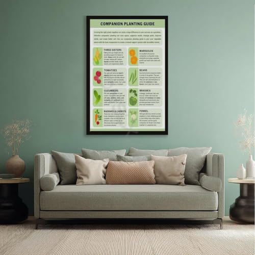 Companion Planting Guide Poster Plantings Types (2) - view 5