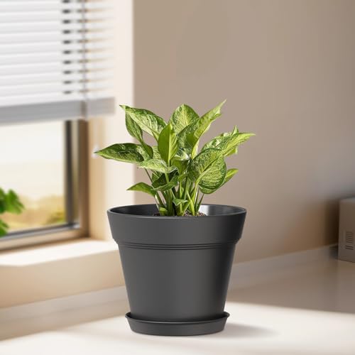 4 Inch Plastic Plant Pots with Drainage Holes and Trays – 8 Pack Small Nursery Pots for Indoor & Outdoor House Plants and Flowers, Seedling Starter Planters, Matte Black - view 2