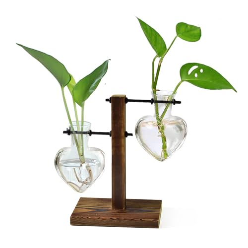 Plant Propagation Station Terrarium Wooden Stand 2 Love Bulb Vase