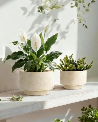 Succulent Pots, 8"+6" Plant Pots, Ceramic Planters for Indoor Plants - view 2