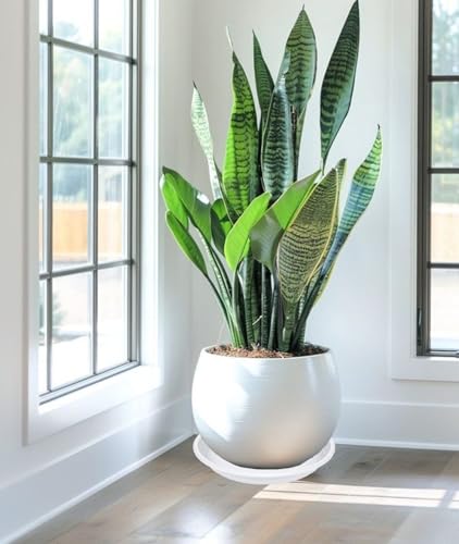 2 Pack of 16 inch Plant Saucer, Large Plant Tray, Heavy Sturdy Plant Drainage Tray for Indoors, Bird Bath Bowls, Sturdy Plastic Pot Tray for Planter (White) - view 4
