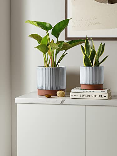 Ceramic Pots for Plants, 8+6.7+5.5 Inch Plant Pots Indoor, Flower Pot with Drainage Holes, Medium Cylinder Planters for Indoor House Plants, Set of 3, Reactive Glaze White - view 2