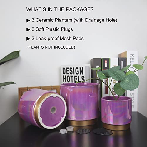 Ceramic Plant Pots for Indoor Plants, Planters with Drainage Holes - view 3