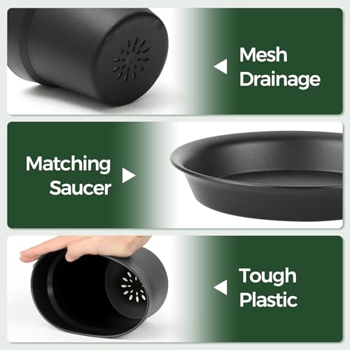 7.5 Inch Plant Pots 6 Pcs, Flower Pots for Indoor Plants Plastic Pots for Plants with Drainage Holes and Saucer, Planters for Indoor Plants for House Cactus Succulent Black - view 3