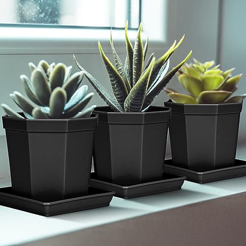 Square Plant Saucer 10 Inch 2 Pack, Durable Plastic Plant Trays Plant Pot Saucers, Square Planters for Indoors and Outdoors Plants, Garden Large Plant Saucers for Pots Black. - view 4