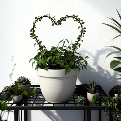 Trellis for Potted Plants, Small House Plant Support, Indoor Plant Trellis for Climbing Plants (Circle and Heart Shape) - view 6