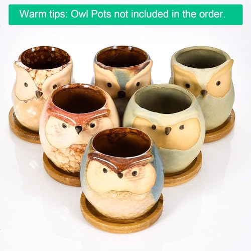 2.52 inch Bamboo Round Plant Saucer Trays for Small Pot,12 Pack - view 3