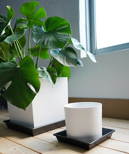 Square Plant Saucer 14 Inch 4 Pack, Plant Stand Plant Trays for Pots Heavy Duty Plastic Plant Saucers for Indoors Outdoors, Flower Pot No Holes Terracotta Plant Lover Gardening Gifts - view 6