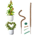 2 Pack 31.5 Inch Bendable Moss Pole for Plants Monstera - Coco Coir Plant Support Stakes for Climbing Indoor Pothos, Potted Climbers & Philodendron - Flexible Stick Kit with Full Garden Ties