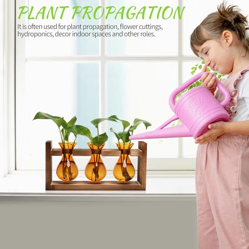 Plant Propagation Station Plant Terrarium Unique Birthday Gifts for Women - view 4