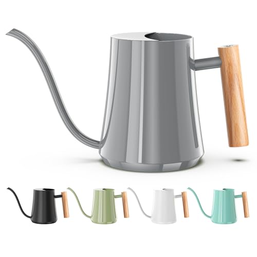 1L/35oz Metal Watering Can Indoor with Long Spout, Gray