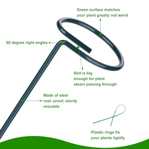 2 Pack (DIY) Plant Support Stakes, Three Sizes (12 or 24 or 36 inch) Plant Support Rings with 20 Pcs Plant Twist Ties, Garden Stake for Indoor Outdoor Plant Flowers, Amaryllis,Tomatoes - view 3
