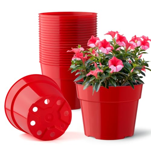 15 Pack 8/7/6 Inch Clear Nursery Pots with Saucer, Transparent Plastic Plant Pot with Drainage Hole, Sturdy Planting Starter Pots for Gardening Flower Herb Vegetable - view 4
