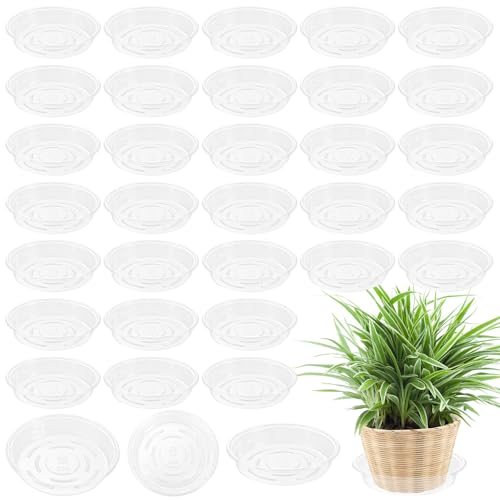 Plant Saucer 40 Pack Plant Trays for Pots 8 Inch Plastic Plant Saucers for Outdoors and Indoors Clear Drip Trays for Potted Plants Flower Pot Plates to Catch Water Plant Drainage Dishes No Holes