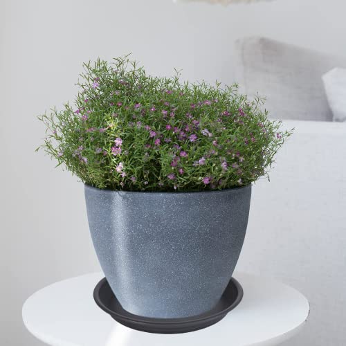 Plant Saucer Pot Tray 4 6 8 10 12 14 16 18 inch, 6 Packs Plastic Flower Planter Saucers and Drip Trays for Indoors Outdoors, Heavy Durable Plant Plate Water Catcher (6 inch, Black) - view 3