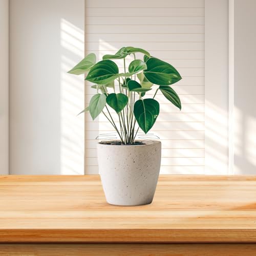 5pcs Iron Plant Stem Support Stakes, Green Leaf Shape - view 7