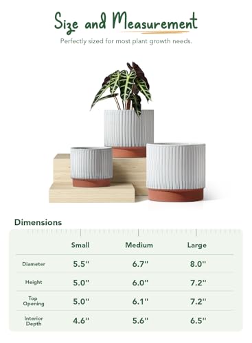 Ceramic Pots for Plants, 8+6.7+5.5 Inch Plant Pots Indoor, Flower Pot with Drainage Holes, Medium Cylinder Planters for Indoor House Plants, Set of 3, Reactive Glaze White - view 5