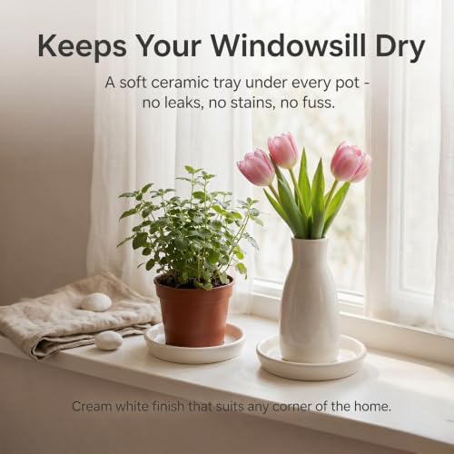 Ceramic Plant Saucer Tray 2 Pcs 3 4 Inch White, 4.2" OD x3.5 ID x0.7 Deep Round Sturdy Heavy Duty Glazed Bevel Planter Drip Flower pots with Catch Basin for Indoor Outdoor Plants(3" White) - view 5
