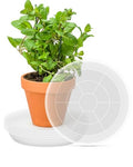 12 inch 5 Pack Plant Saucer Pot Tray, Large Thickened PP Plastic Flower Planter Water Drip Trays for Indoor Outdoor Garden, Semi-Transparent Planter Water Catcher for Pot, Plant Dish