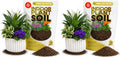 Professional Indoor Plant Soil Mix Large 2.2 Quarts Ready to Use, Premium Potting Soil for Indoor Houseplants Container Plants, Peat Coco Coir Perlite Dolomite Blend Made in USA (Pack of 2)