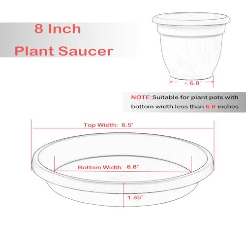 2 Pack Plant Saucer 8 Inch, Drip Trays for Potted Plants, Flower Pot Saucers Plant Trays for Pots, Plastic Planter Tray for Indoors, Plant Drainage Saucer Birdbaths for Outdoors - view 2