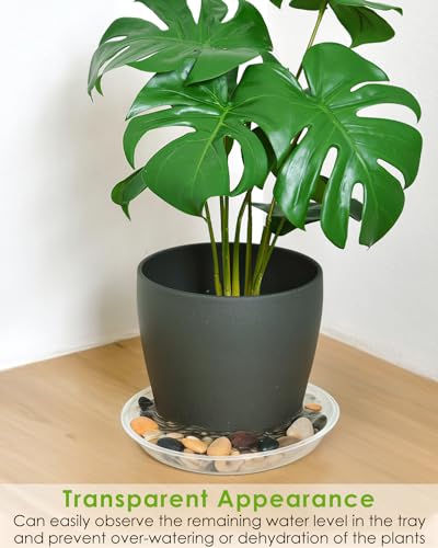 12 inch 5 Pack Plant Saucer Pot Tray, Large Thickened PP Plastic Flower Planter Water Drip Trays for Indoor Outdoor Garden, Semi-Transparent Planter Water Catcher for Pot, Plant Dish - view 4