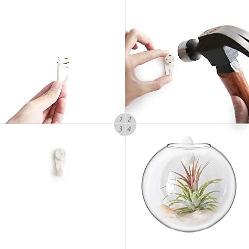 Wall Propagation Planters, 4 Pack Glass Hanging Vase Plant Holder - view 5