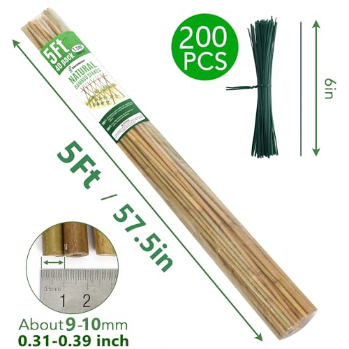 40 Pack Bamboo Stakes for Plant 5 Feet(57.5inch), Bamboo Sticks Plant Support Garden Stakes Poles with 200pcs Twist Ties for Tomatoes, Beans, Potted Plants, Indoor and Outdoor Climbing Plants - view 5