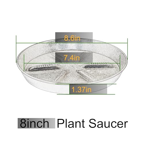 Plant Saucer 8 Inch 4 Pack Round, Sturdy Thick Plastic with Elevated Core, Better Drainage Water Catcher Tray for Flower Pots - view 2