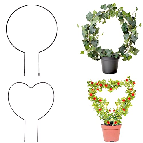 2 Pack Garden Trellis for Climbing Plants, 13 inches Rust-Proof Iron Metal Plant Support with Black Rust Proof Coating for Decorative Potted Climbing Vines and Flowers (Round & Heart) A1016