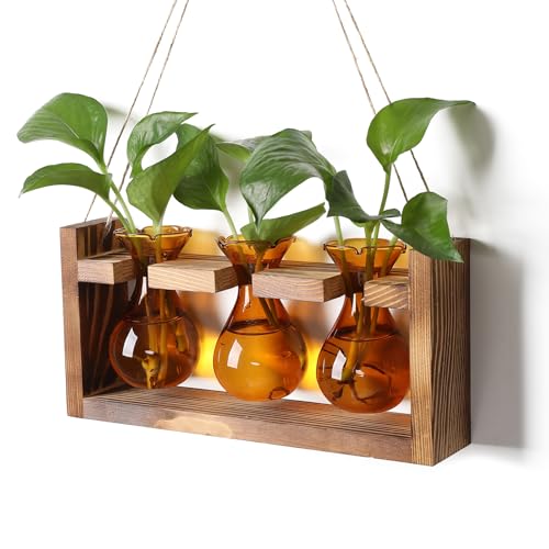 Plant Propagation Station Plant Terrarium Unique Birthday Gifts for Women