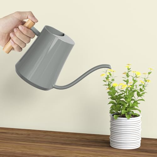 1L/35oz Metal Watering Can Indoor with Long Spout, Gray - view 6