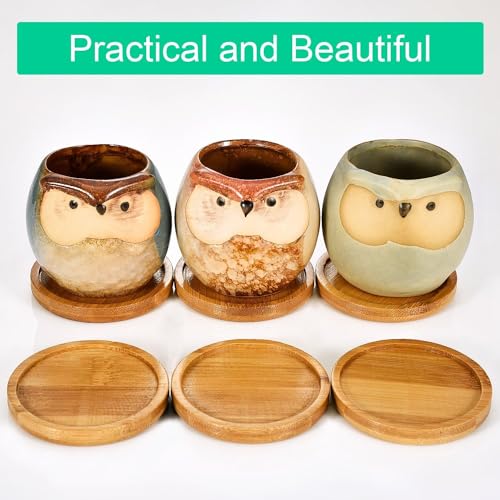 2.52 inch Bamboo Round Plant Saucer Trays for Small Pot,12 Pack - view 5