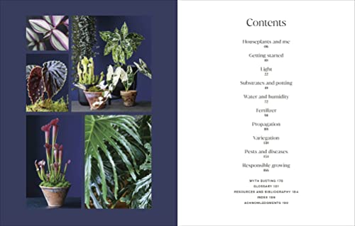 Not Another Jungle: Comprehensive Care for Extraordinary Houseplants - view 2