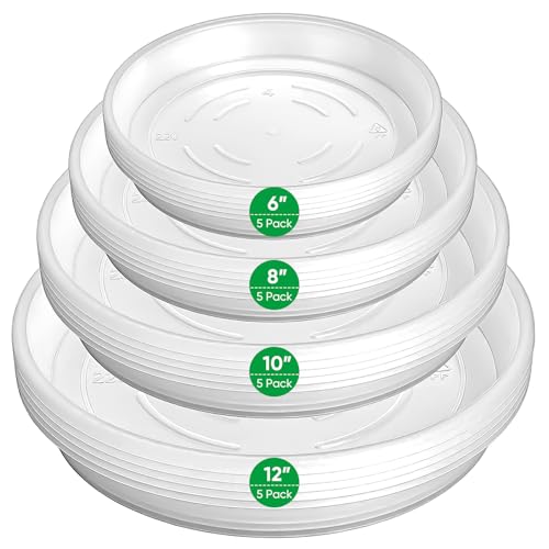 20 Pack Plant Saucer Tray, 6/8 /10/12 inch Heavy Duty Flower Pot Trays, Plastic Plant Saucer for Indoor & Outdoor Plants, Plant Trays to Catch Water, 5 Pieces of Each Size